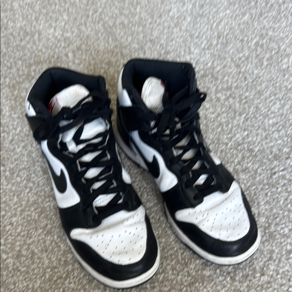 Nike Dunk High